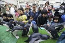 20110423-564077-1-L.jpg