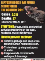 Rat-fever-situation-symptoms.jpg