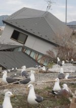 20110528-191048-1-L.jpg