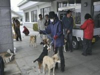 20110525-134003-1-L.jpg