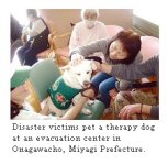 snap20110607090924.jpg