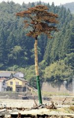 20110607-369002-1-L.jpg
