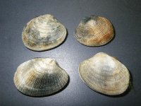 TKY201106040565.jpg