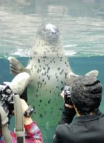20110627-727070-1-L.jpg