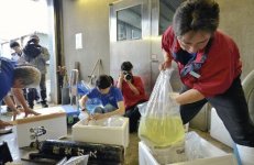 20110615-506873-1-L.jpg