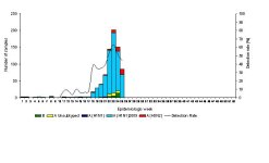 figure2.jpg