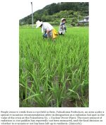 snap20110702120530.jpg