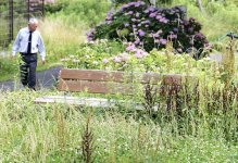 20110630-790853-1-L.jpg