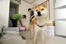 20110627-727064-1-L.jpg