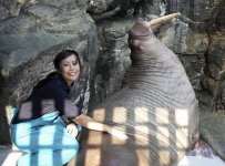 20110714-046057-1-L.jpg