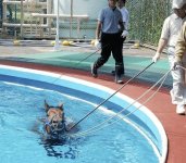 20110620-614070-1-L.jpg