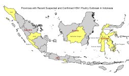 Indonesia Avian H5N1 outbreaks 2011 07 22.jpg