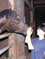 20110806-480299-1-L.jpg
