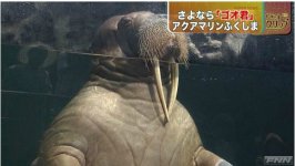 snap20110818234438.jpg