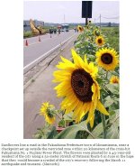 snap20110822224558.jpg