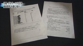 27_04_v_s.jpg