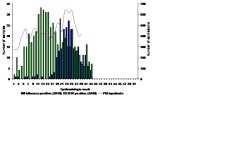 figure4.jpg
