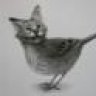 Catbird