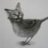 Catbird