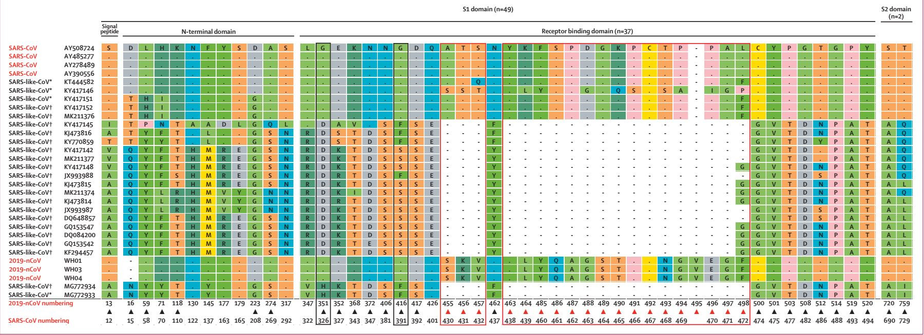 Click image for larger version  Name:	ncov spike insertions.JPG Views:	130 Size:	461.6 KB ID:	826933
