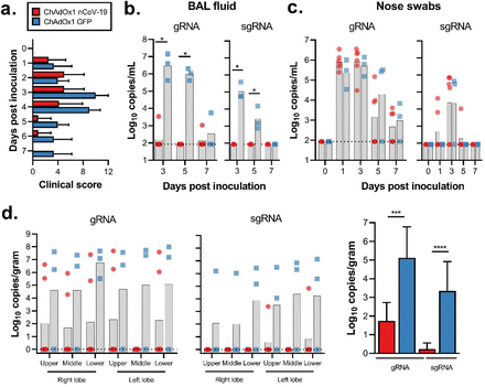 Click image for larger version

Name:	astra zeneca vaccin.gif
Views:	85
Size:	43.1 KB
ID:	895545