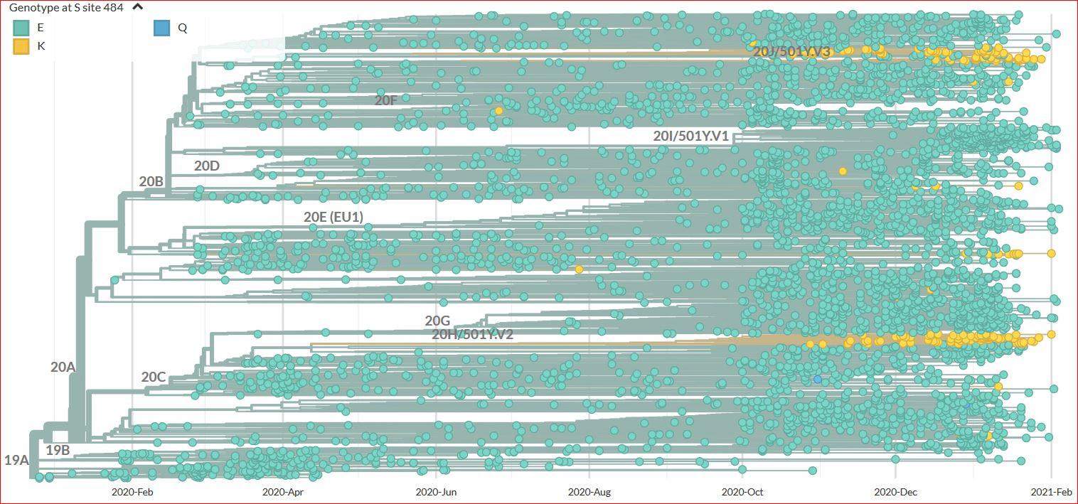 Click image for larger version  Name:	E484K TREE.JPG Views:	1 Size:	340.7 KB ID:	906790