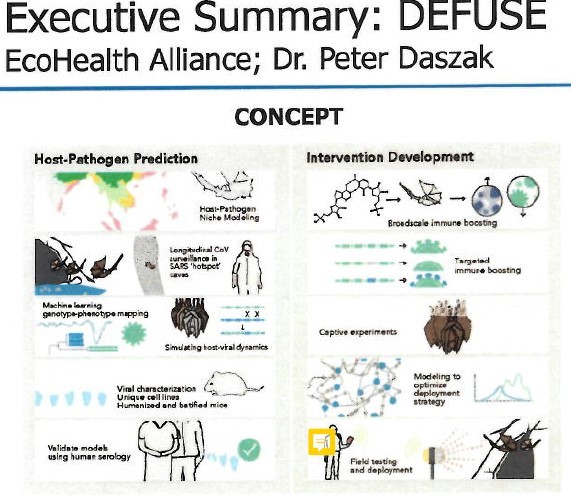 Click image for larger version  Name:	Defuse sketch.jpg Views:	36 Size:	81.4 KB ID:	925723