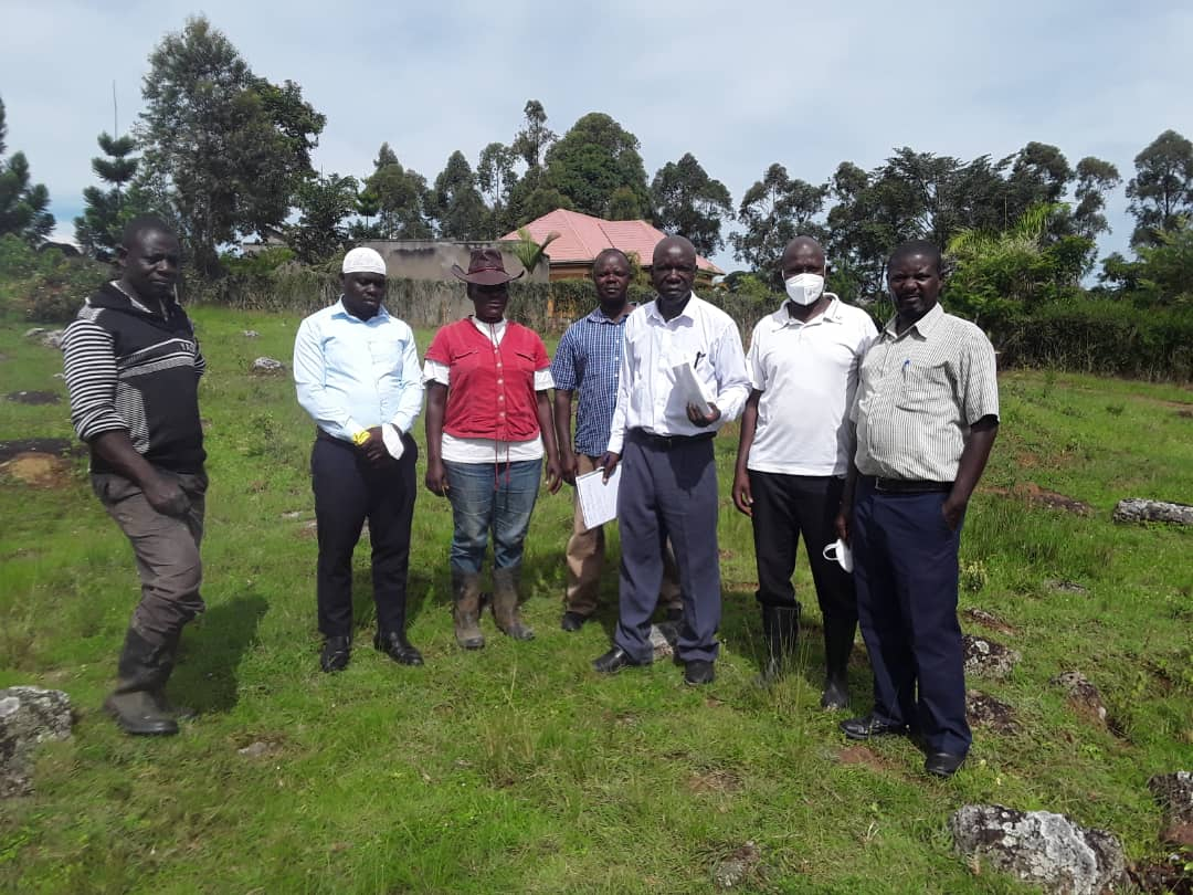 Click image for larger version

Name:	image.png
Views:	1222
Size:	1.38 MB
ID:	982073