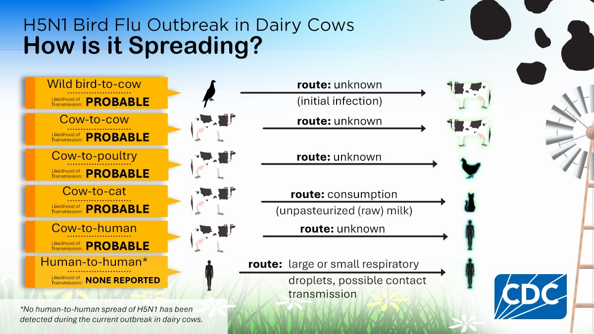 Click image for larger version  Name:	image.png Views:	2 Size:	775.8 KB ID:	992435