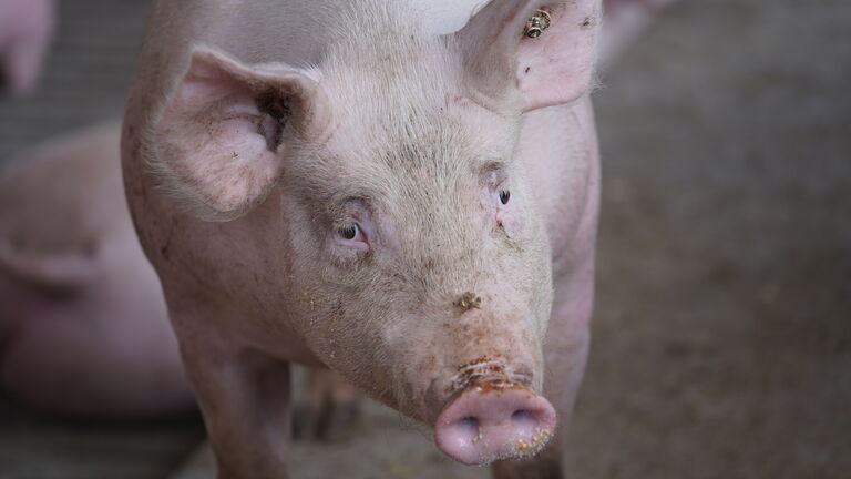 Click image for larger version  Name:	image.png Views:	1 Size:	315.1 KB ID:	994055