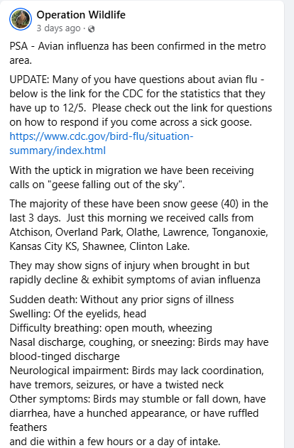 Click image for larger version

Name:	Screenshot 2024-12-09 155211.png
Views:	95
Size:	65.0 KB
ID:	1002064