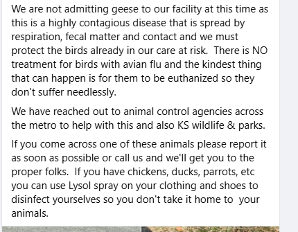 Click image for larger version

Name:	Screenshot 2024-12-09 155253.png
Views:	89
Size:	42.8 KB
ID:	1002065