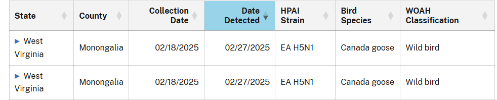 Click image for larger version

Name:	image.png
Views:	94
Size:	33.0 KB
ID:	1009085