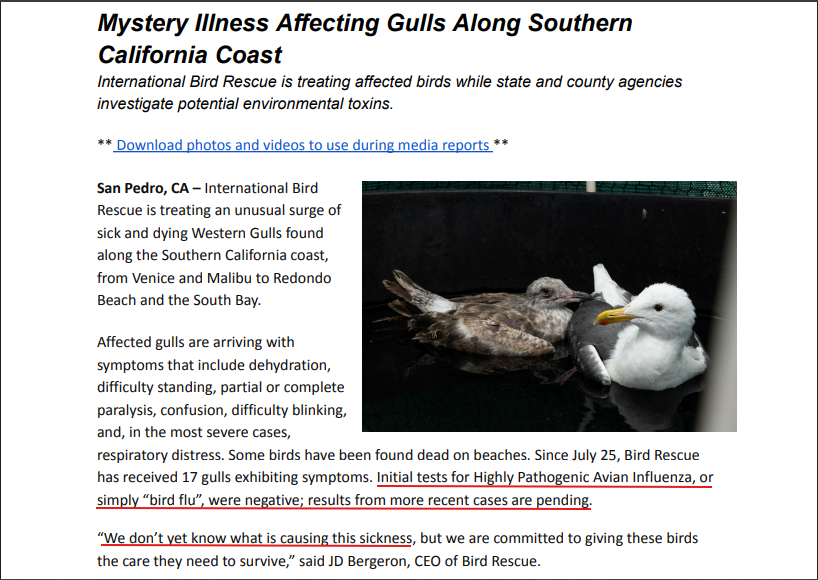 Click image for larger version

Name:	image.png
Views:	111
Size:	284.7 KB
ID:	1017774