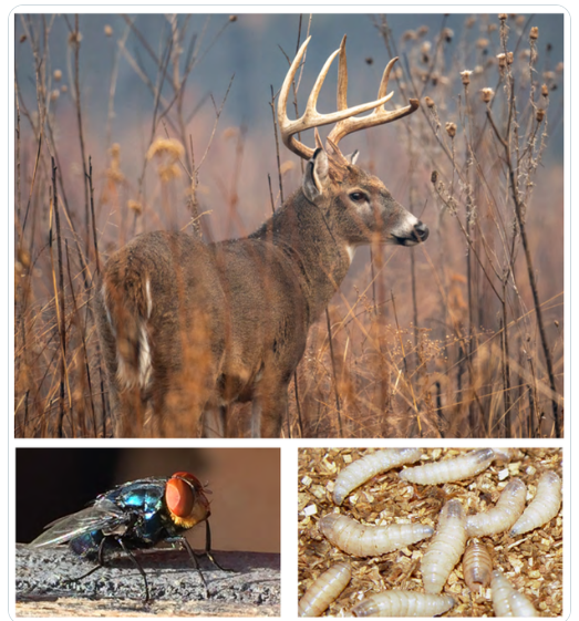 Click image for larger version

Name:	image.png
Views:	82
Size:	516.4 KB
ID:	1017830