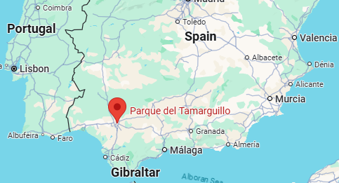 Click image for larger version

Name:	image.png
Views:	90
Size:	91.8 KB
ID:	1018655