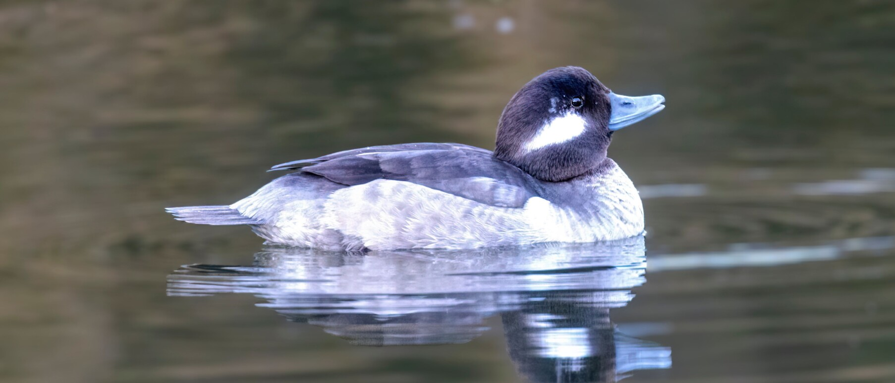 Click image for larger version

Name:	image.png
Views:	75
Size:	1.02 MB
ID:	1020681