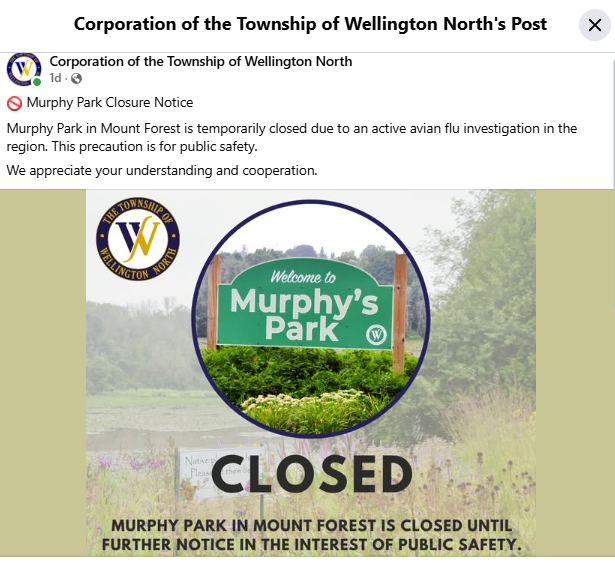 Click image for larger version  Name:	image.png Views:	1 Size:	338.2 KB ID:	1021206