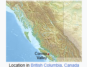 Click image for larger version

Name:	image.png
Views:	46
Size:	127.9 KB
ID:	1021323