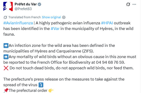 Click image for larger version

Name:	image.png
Views:	87
Size:	49.8 KB
ID:	1022291