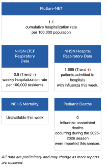 Click image for larger version

Name:	Screenshot 2025-11-18 at 4.51.19 PM.png
Views:	1499
Size:	122.2 KB
ID:	1023616