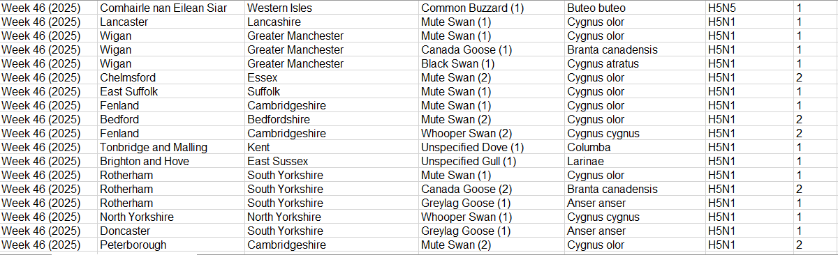 Click image for larger version

Name:	image.png
Views:	82
Size:	61.6 KB
ID:	1023820