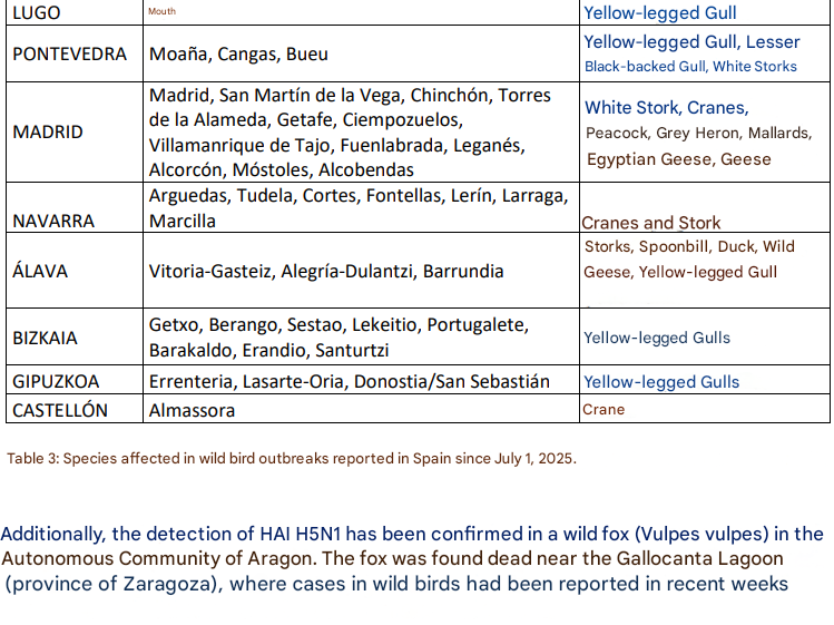 Click image for larger version

Name:	image.png
Views:	108
Size:	155.5 KB
ID:	1023914