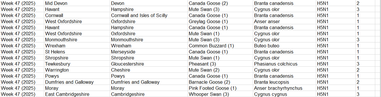 Click image for larger version

Name:	image.png
Views:	74
Size:	54.0 KB
ID:	1024246