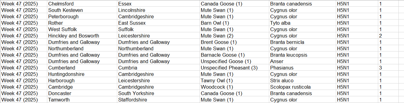 Click image for larger version

Name:	image.png
Views:	75
Size:	55.5 KB
ID:	1024247