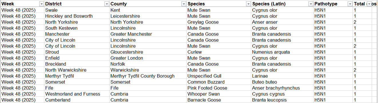 Click image for larger version

Name:	image.png
Views:	72
Size:	57.2 KB
ID:	1025187