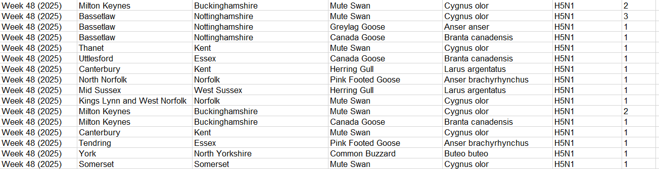 Click image for larger version

Name:	image.png
Views:	70
Size:	53.1 KB
ID:	1025188