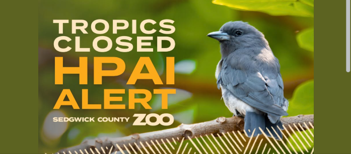 Click image for larger version

Name:	image.png
Views:	85
Size:	266.9 KB
ID:	1025310