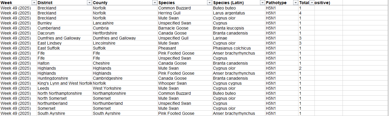 Click image for larger version

Name:	image.png
Views:	50
Size:	66.3 KB
ID:	1026666