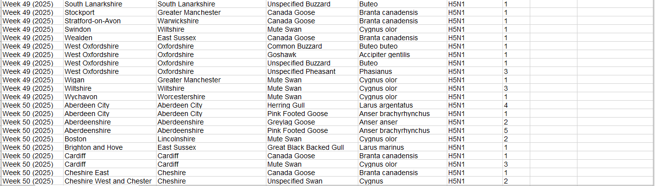 Click image for larger version

Name:	image.png
Views:	50
Size:	63.6 KB
ID:	1026667